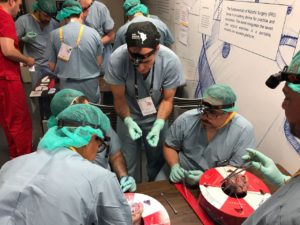 Guillermo Vaccarino, Jefe del Servicio de Cirugía Cardiovascular del Hospital Austral participó como docente especialista en el curso Latin American Forum 2017 | Cirugia Cardiovascular | Dr. Guillermo N. Vaccarino