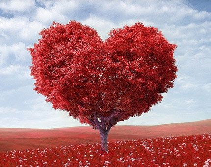 Un nuevo corazón | Patricia Romano | Dr. Gustavo Bastianelli | Hospital Universitario Austral | Cirugía Cardiovascular